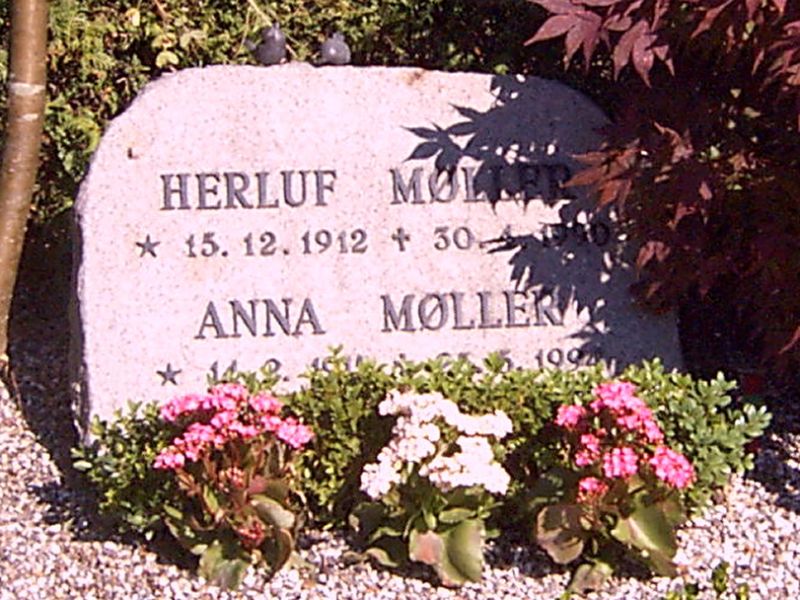 Anna Moeller.JPG